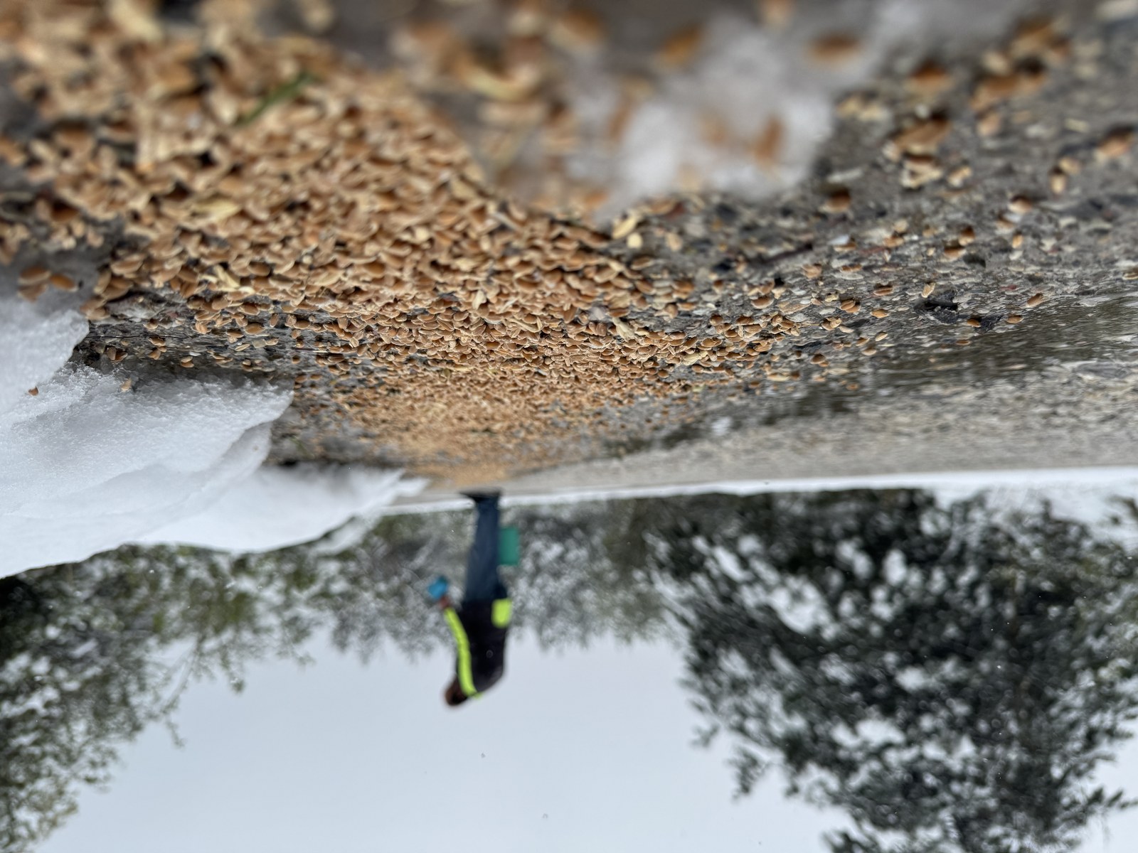 KUŞLAR VE YABAN HAYVANLARI UNUTULMADI