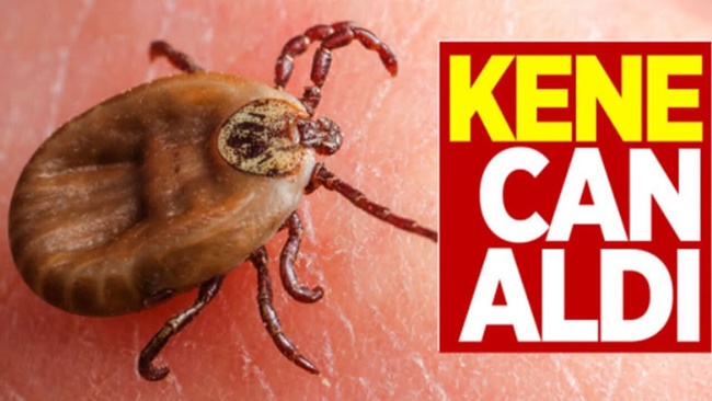 KENE ÇORUM’DA CAN ALDI