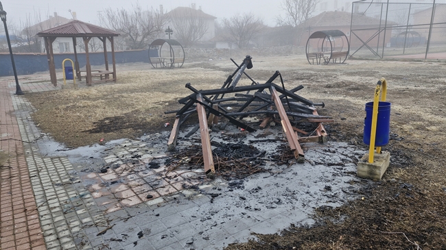 MAGANDALAR PARKTAKÄ° KAMELYAYI YAKTI