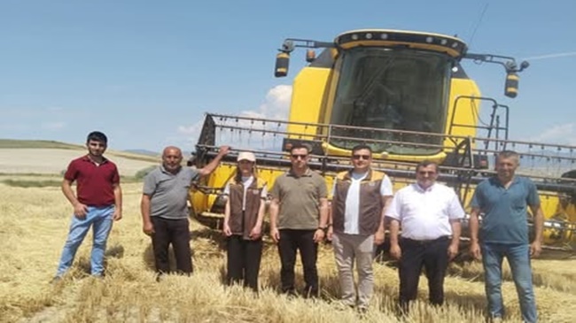 ÇORUM’DA ARPA HASADI BAŞLADI