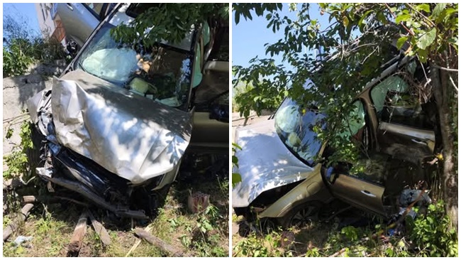 YOLDAN ÇIKAN ARAÇ EVİN BAHÇESİNE DALDI