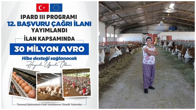 TKDK'DAN HAYVANCILIK SEKTÖRÜNE  30 MİLYON AVROLUK HİBE DESTEĞİ!