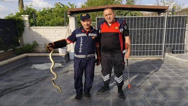 EVE GİREN YILANI İTFAİYE YAKALADI