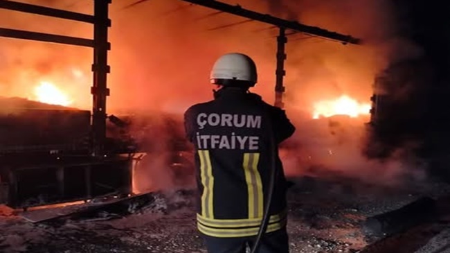 HAREKET HALİNDEKİ TIR CAYIR CAYIR YANDI